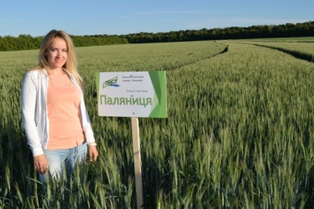 Озима пшениця Паляниця ТОВ “ЛІСТ” купити за 9 000 грн. с доставкою